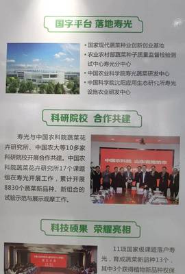 院士來(lái)了，國(guó)字號(hào)科研院所也來(lái)了——生態(tài)環(huán)境高水平保護(hù)推動(dòng)經(jīng)濟(jì)高質(zhì)量發(fā)展看濰坊見(jiàn)聞